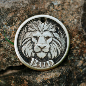 Lion 3D Tag