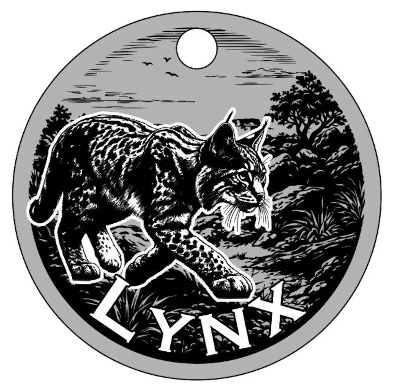 il_794xN.7596338676_ndaf.jpg