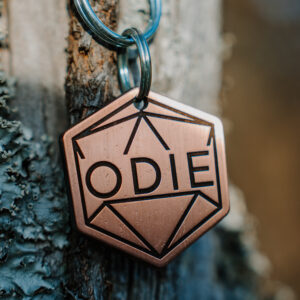 Custom Shaped Pet Tag | Your Design